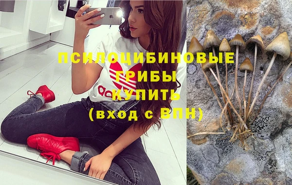 стафф Арсеньев